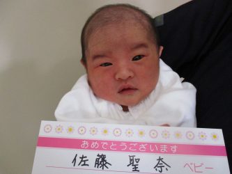 佐藤　燈（あかり）ちゃん