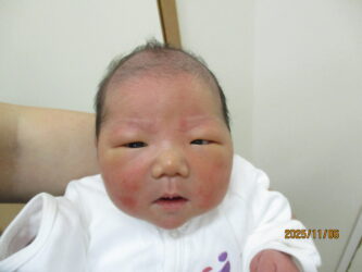 11月4日生まれ