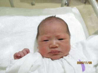 11月8日生まれ